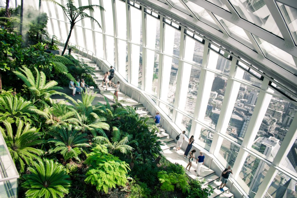 The Sky Garden